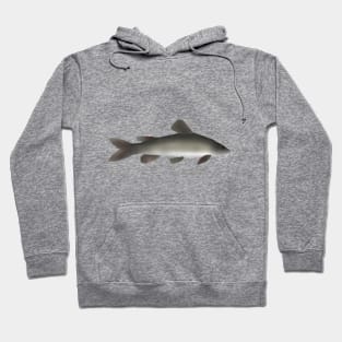 Golden Nile Catfish Hoodie